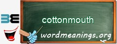 WordMeaning blackboard for cottonmouth